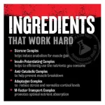 animal-m-stak-21-paks-universal-nutrition-2-nutrafit