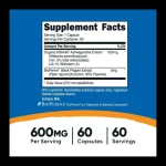 ksm-66-600-mg-60-capsulas-nutricost-2-nutrafit