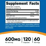 alpha-gpc-60-servicios-nutricost-2-nutrafit