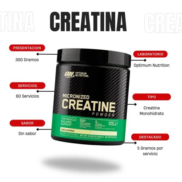 Creatina Micronized 300 Gramos Optimum Nutrition - Imagen 4