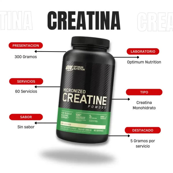 Creatina Micronized 300 Gramos Optimum Nutrition - Imagen 5