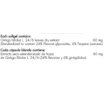 ginkgo-biloba-60-mg-100-capsulas-healthy-america-2-nutrafit
