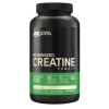 Creatina Micronized 300 Gramos Optimum Nutrition