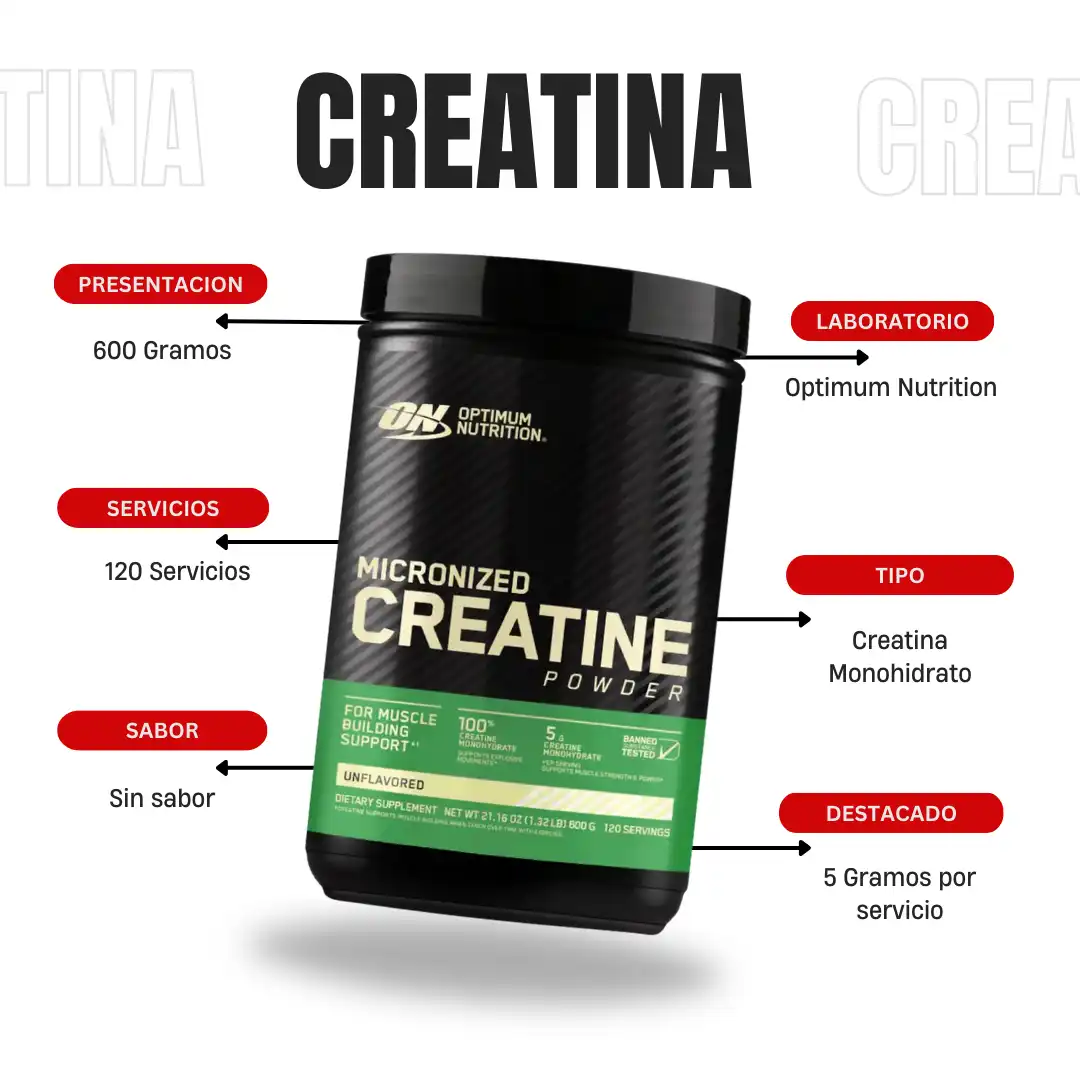 Creatina Micronized 600 Gramos Optimum Nutrition - Imagen 2